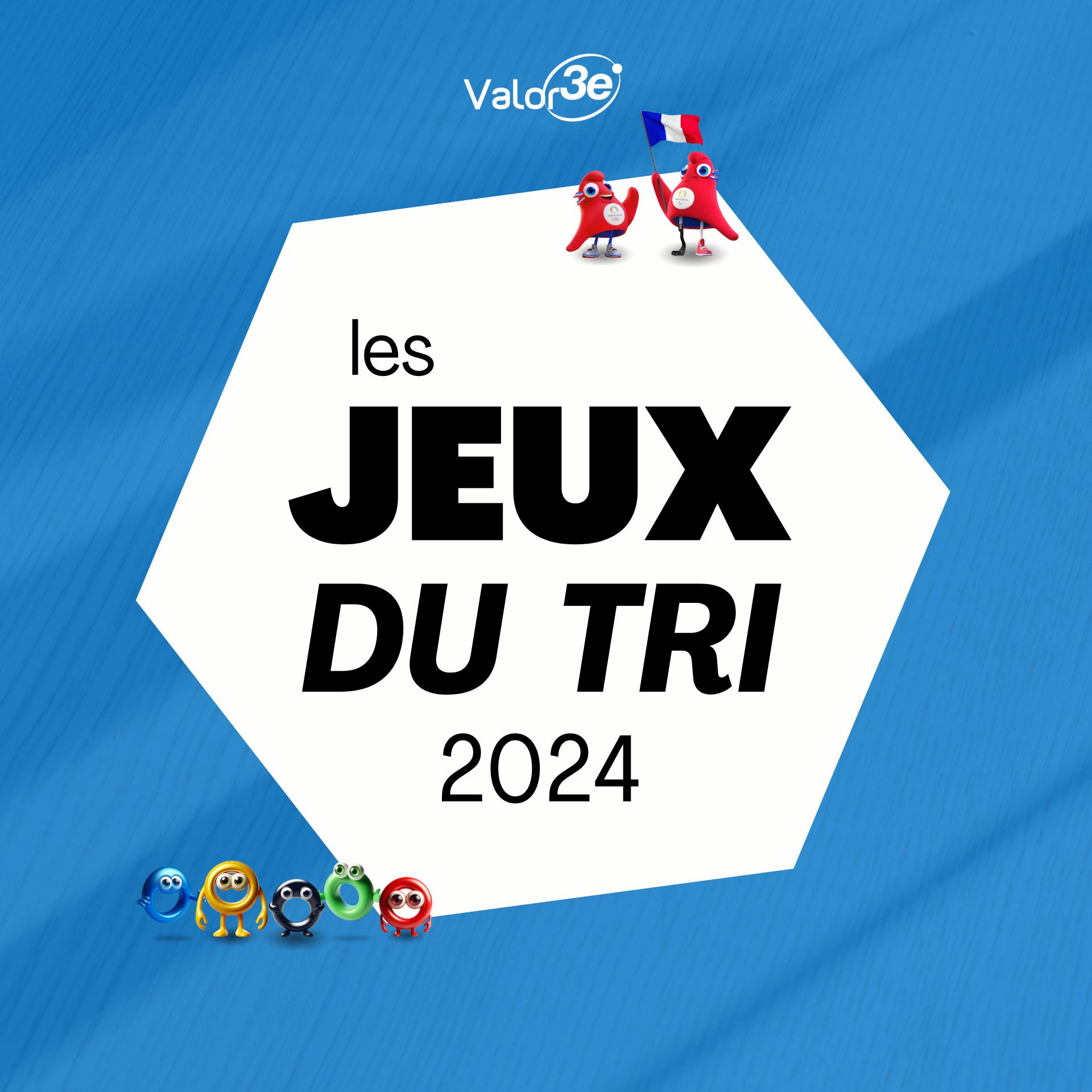 couverture decorative le jeux du tri bleu