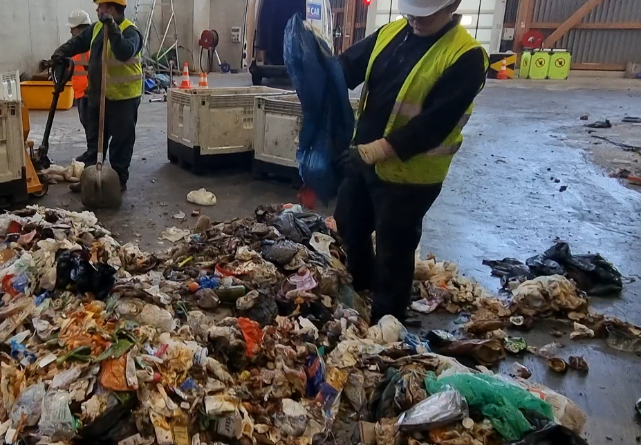 ouverture des sacs poubelles pour analyser leur contenu